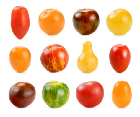 2021 Tomato Varieties Guide Find The Best Varieties For Your Garden