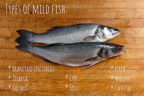 Types Of Fish To Eat