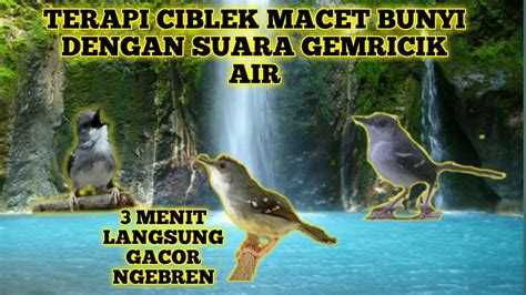 Kalian sudah bisa memilikinya dengan rentang harga di bawah rp100.000. Suara TERAPI BURUNG CIBLEK MACET BUNYI AGAR KEMBALI GACOR ...