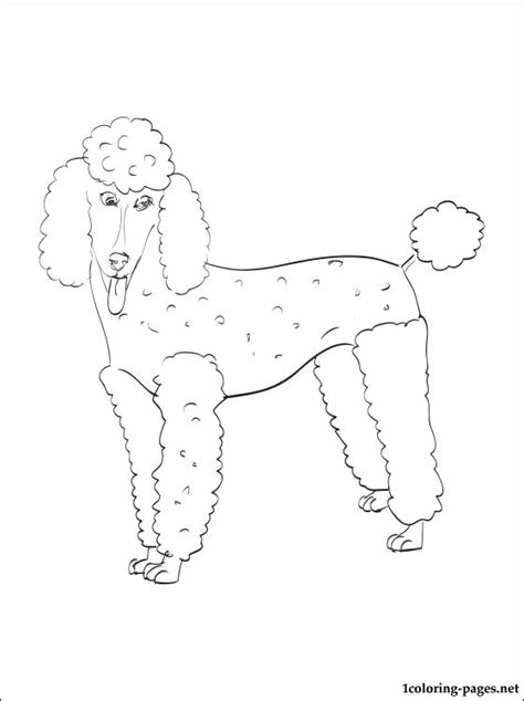 All animal coloring pages including this poodle coloring page can be downloaded and printed. Poodle coloring page | Coloring pages