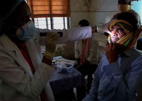 Entonces te gustará conocer esta guía de ecologíaverde sobre fungicidas caseros para cactus. 'Hongo negro' letal se propaga en India | TN8.tv Nicaragua