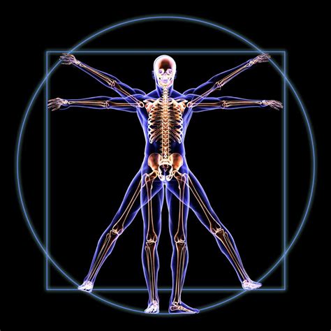 We know a lot about the human body today thanks having a good understanding of how the human body works is essential for more reasons than just showing off for your friends at trivia competitions. Anatomy and Physiology/Human Biology Online Course - Stens ...