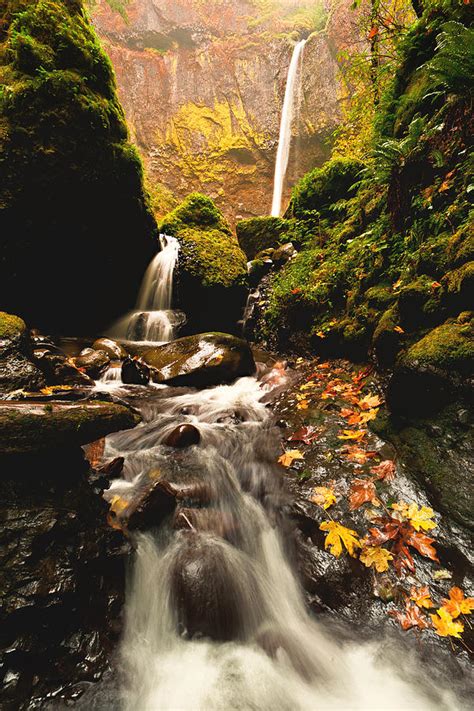 Elowah Falls In Autumn Photograph By Alvin Kroon Fine Art America
