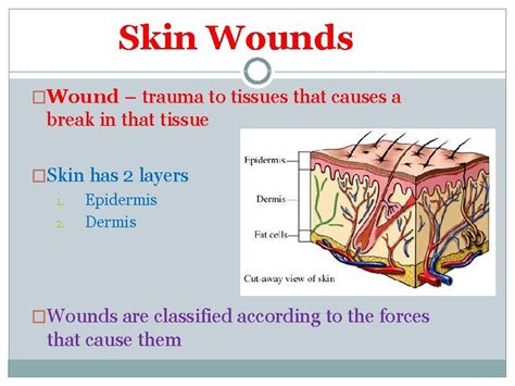 Skin Wounds Obj I Will Differentiate Between Common