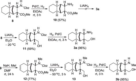 Scheme Synthesis Of Amine N Methylation Of The Cbz Amine Download Scientific