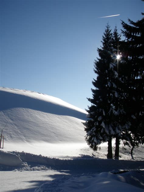 Fotos Gratis árbol Naturaleza Montaña Nieve Nube Cielo