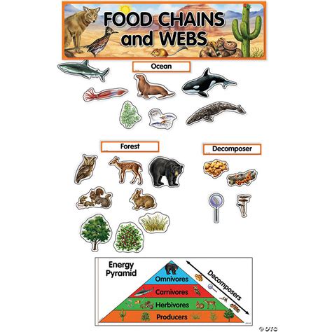 Food Chains And Webs Mini Bulletin Board Set Discontinued