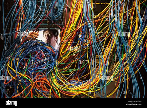 Asian Male Technician Working On A Tangled Mess Of Cat 5 Cables In A