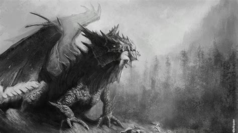 Dragon Black And White Wallpapers Wallpaper Cave