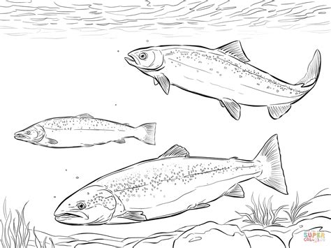 Make a coloring book with salmon for one click. Atlantic Salmon Shoal coloring page | Free Printable ...