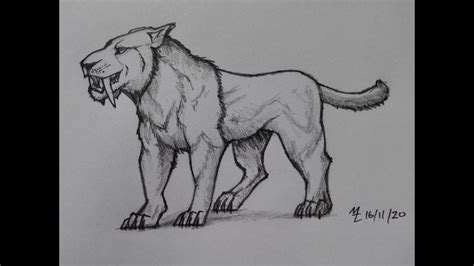 How To Draw A Sabre Tooth Tiger Youtube