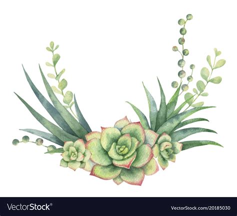 Watercolor Wreath Cacti And Succulent Royalty Free Vector