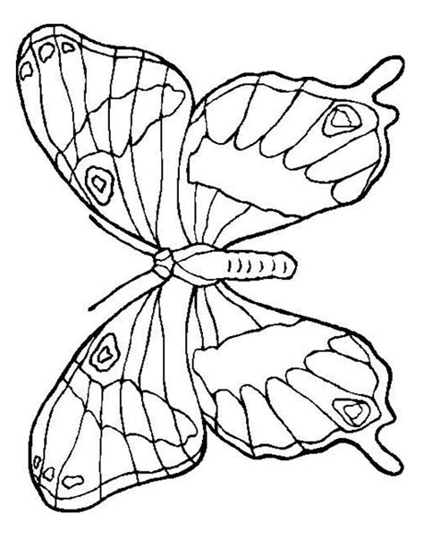Coloriage à imprimer princesse sirene et meduse coloriage sirene trouve une etoile de mer coloriage Coloriage papillon à imprimer gratuitement