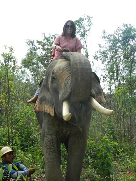 Pin Auf Elephants And Sexy Women 6 Elefanten Fun Travel