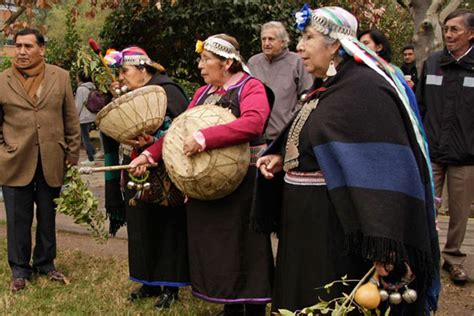 Uno De Cada Cinco Chilenos No Indígenas Se Identifica Con Causas De