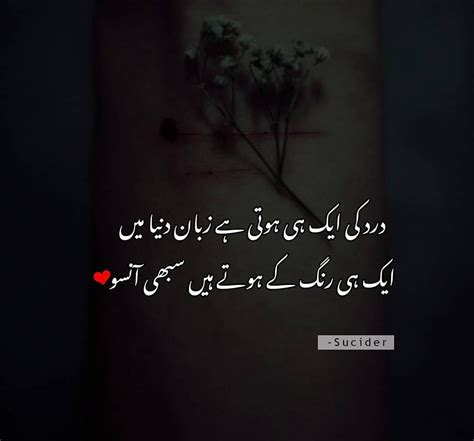 Pin By Naqeeb Ur Rehman On Urdu Adab Love Poetry Images Poetry