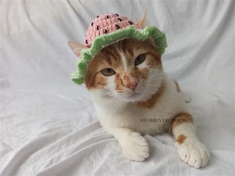 Crochet Cat Hat Crochet Size Crochet Bucket Hat Crochet Animals