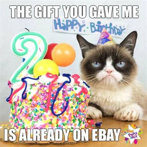 Grumpy Cat Celebrates 2nd Birthday With Trademark Frown Metro News