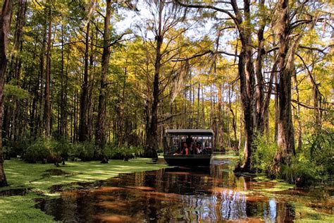 20 Best Things To Do In Louisiana The Ultimate Bucket List