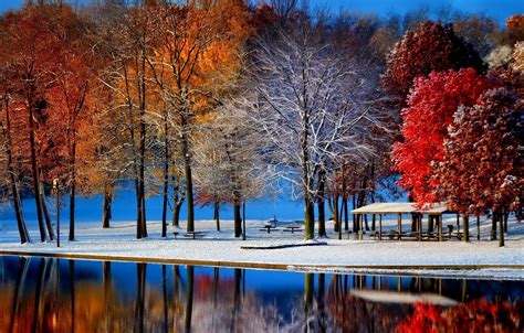 Wallpaper Winter Frost Autumn Leaves Water Snow Trees Landscape