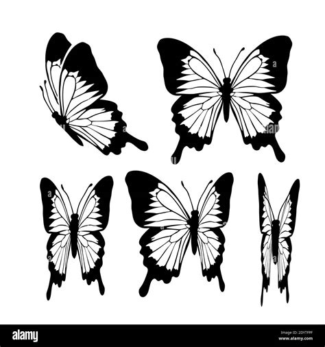 Graphic Flying Black And White Butterflies Vector Illustration