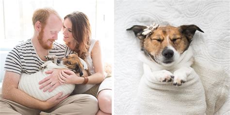 Maybe you would like to learn more about one of these? Couple Does A Cliché Newborn Photoshoot With Their Dog ...