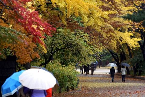 닫기 오늘 하루동안 보이지 않기. 일기예보오늘 날씨, 전국 흐리고 비…"비 언제쯤 그치나요 ...