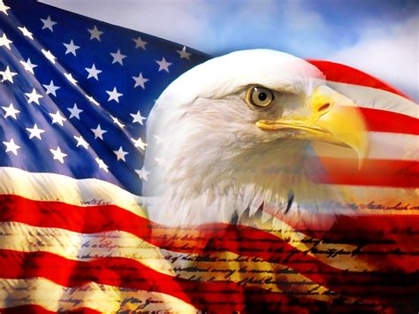 Wallpaper Of The Day Eagle And American Flag Common Sense Evaluation