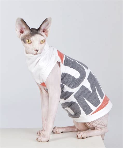 Sphynx Cat Vintage Apparel And T Shirts Sphynx Cat Wear Clothing