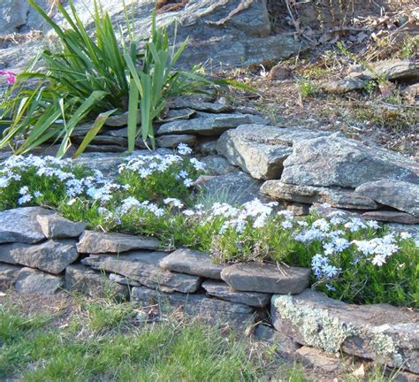 How We Designed Our Rock Garden Landscaping Our Yard With Rocks And