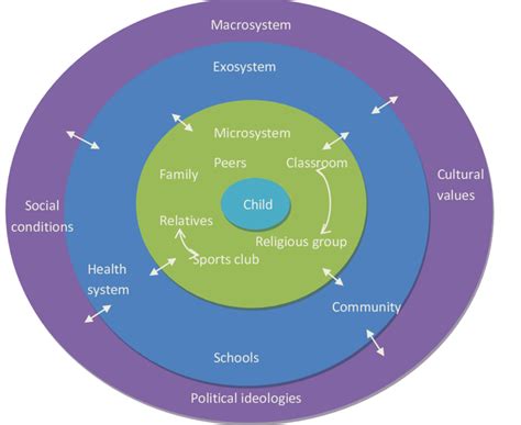 Adapted Diagram Of Bronfenbrenners Ecological Model Of Human