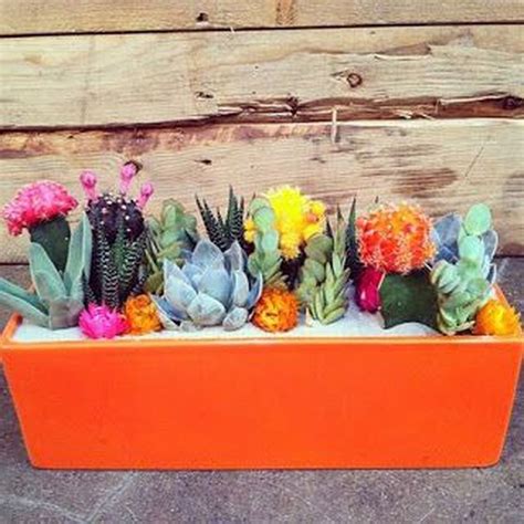Cute Cactus Decor Ideas For Your Home 80 Mini Cactus Garden Colorful
