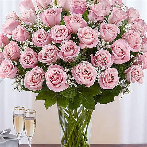 Online Bunch Of 50 Gorgeous Pink Roses T Delivery In Singapore Fnp