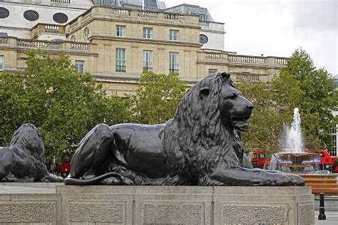London Uk Trafalgar Square Lion Statue And Fountain United Kingdom