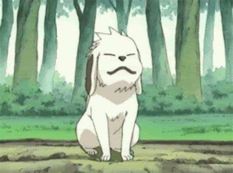 Los Mejores Y Más Famosos Perros Del Anime Xdeanime