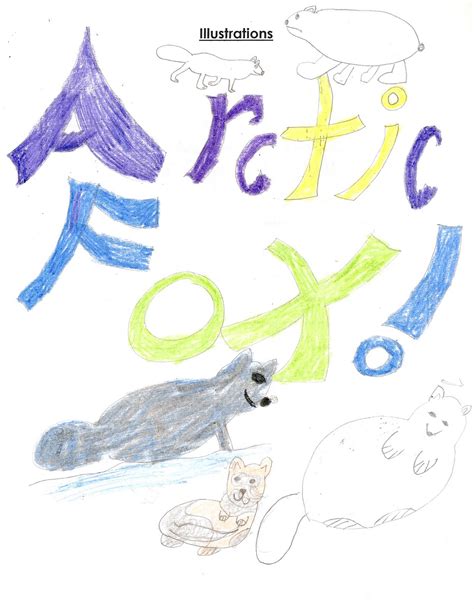 Arctic Fox Facts Illustrations