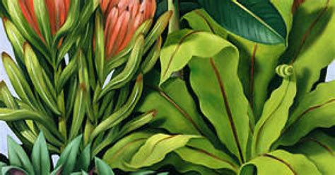 Foliage Iii By Catherine Abel Art Print Wall Art Posters And Framed Art