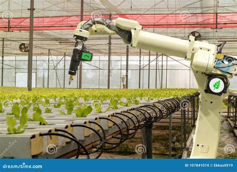 Robot Astuto Nel Concetto Futuristico Dellagricoltura Automazione
