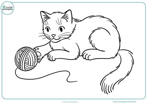 Dibujos De Gatos Para Colorear Pack De Laminas De Gatos Images