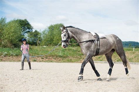Lungeing Explained How To Lunge Your Horse Horse And Rider