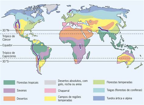 Biomas terrestres tipos características resumo completo