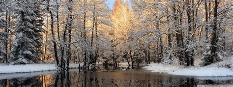 Winter Forest Triple Monitor Wallpapers Wallpaper Cave