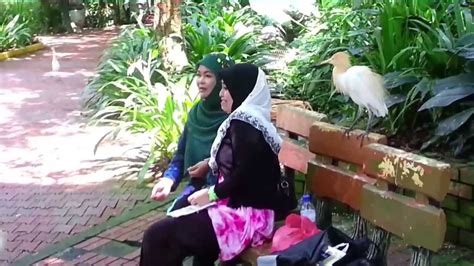 Kota kuala lumpur banyak dikunjungi wisatawan internasional sepanjang tahun karena terdapat banyak sebagian burung yang ada di sini berasal dari malaysia, hanya sekitar 10 persen saja yang berasal dari luar negeri. Taman Burung Kuala Lumpur - YouTube