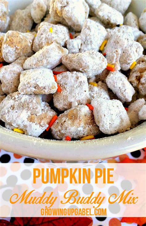 Snack mixes are also great party treats! Pumpkin Pie Chex Puppy Chow Recipe