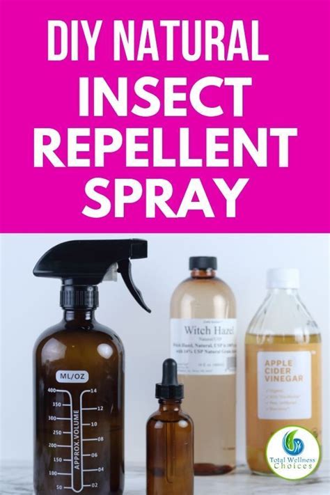 Homemade Bug Repellent Spray Recipe Insect Repellent Homemade