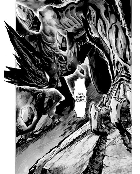 Garou Becomes The Monster One Punch Man Anime El Golpe Manga De One