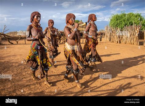 Hamar Tribe Ceremony Of Omo Valley Ethiopia Stock Photo Alamy