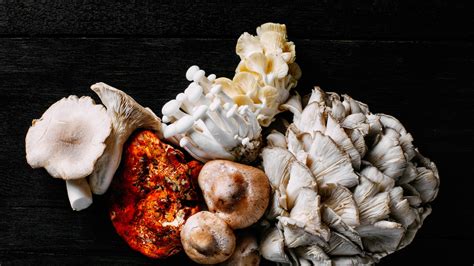 With so many types of mushrooms, the possibilities (and recipes) are endless. 14 Types of Mushrooms and their Uses | Epicurious