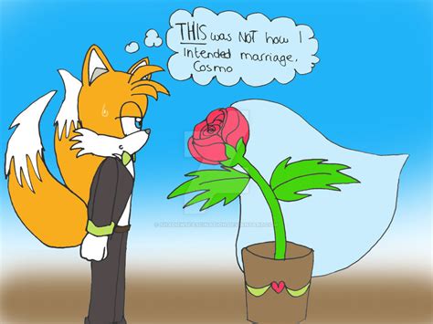 Tails And Cosmo Marriage By Shadowsfascination On Deviantart