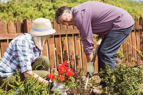 Older People Can Halve Risk Of Dementia By Gardening Dancing Or Going